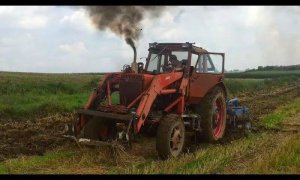 Mtz 82