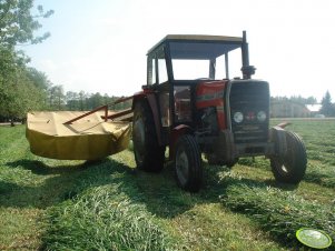 Massey Ferguson 255