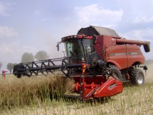 Case-IH Axial Flow 8120