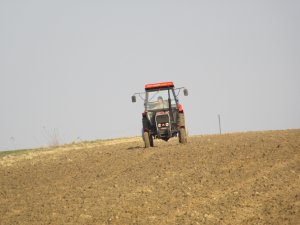 Massey Ferguson 255