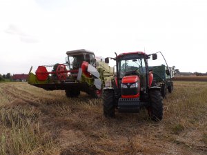 Claas Dominator 68 & Kubota M7040