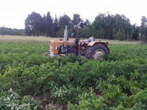 Ursus C-330M + Radełka