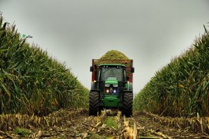 John Deere 6150 M - Kiszonka '14