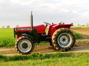 Massey Ferguson 253A