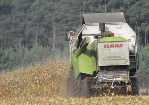 Claas Medion 310