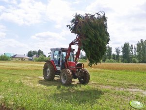 Massey Ferguson 3060 + Quicke