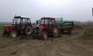 MF 255 i Zetor 7211