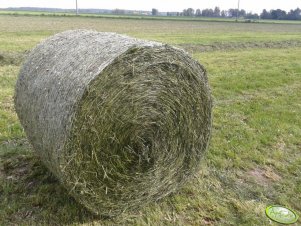 Bela po Fendt 5160