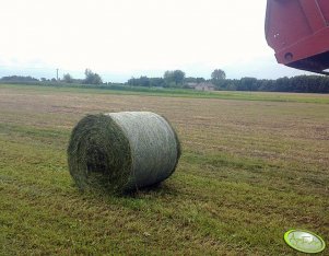 Bela po prasie Fiatagri 5880 + Zetor 6245