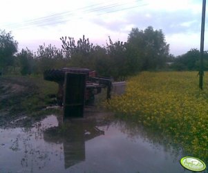 Belarus 1025 + ładowacz