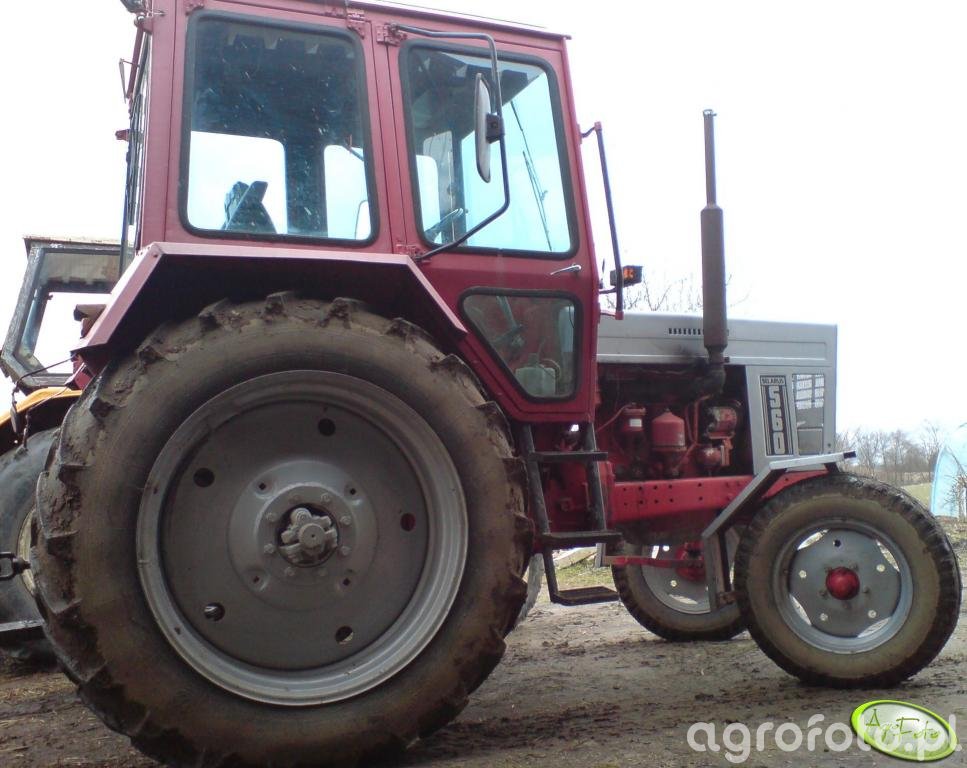 Foto traktor Belarus 560 #125558 - Galeria rolnicza agrofoto