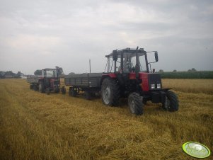 Belarus 820 i MF 255