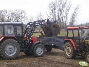 Belarus 820 & Ursus C-360 i rozrzutnik 