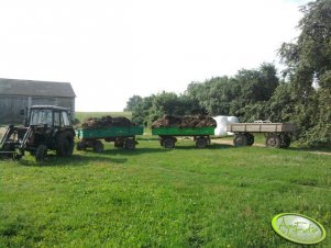 Belarus 82.1 + 3xprzyczepa