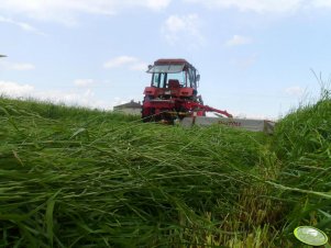 Belarus + Jf-stoll GX