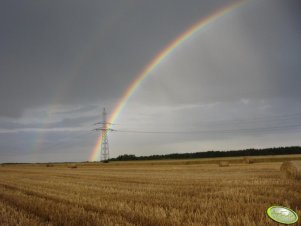 Bele słomy