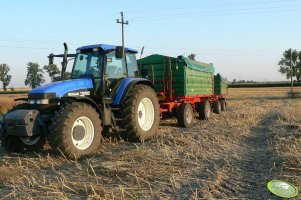 New Holland TM 165