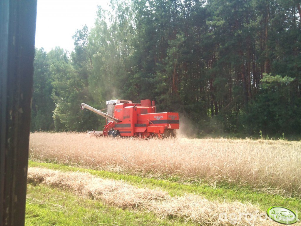 Bizon 5056 - Bizon - Agrofoto.pl Forum Rolnicze i Galeria Rolnicza