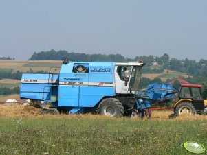 Bizon Dynamic Z - 115