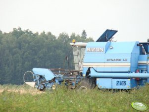 Bizon Dynamic Z165