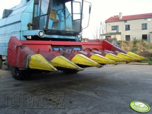Bizon Gigant Z061