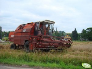 Bizon Gigant Z061