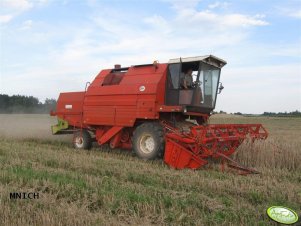 Bizon Gigant Z083
