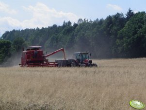 Bizon i Massey Ferguson