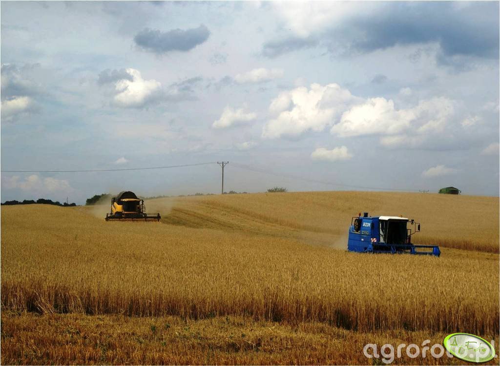 Widoczki ze żniw 2009 i maszynki z mojej okolicy.