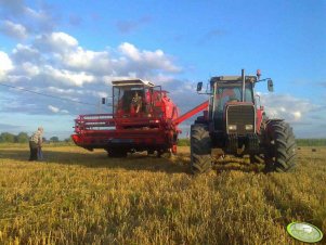 Bizon Rekord i Massey-Ferguson 3690 