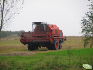 Bizon Rekord Z058 na bliźniakach