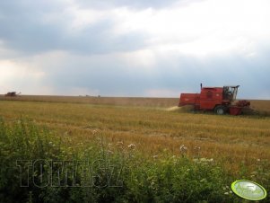 Bizon Rekord Z058 x2