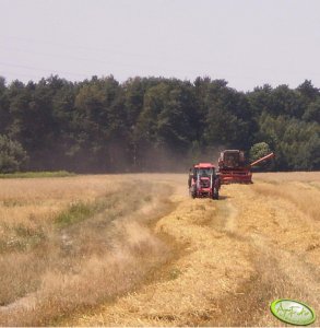 Bizon Rekord Z058 & Zetor Proxima 