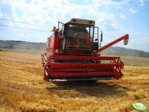 Bizon Rekord Z058
