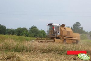 Bizon Rekord Z058