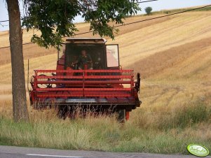 Bizon Rekord Z058