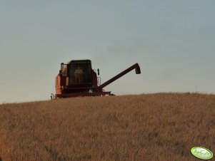 Bizon Rekord Z058