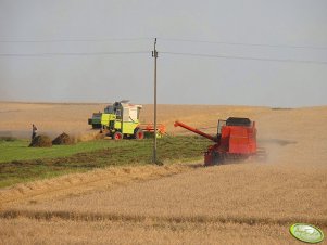 Bizon Super Z056 i Claas Dominator 150