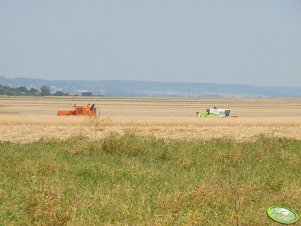 Bizon Super Z056 i Claas Mega350