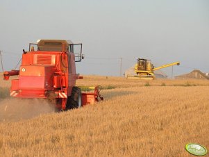 Bizon Super Z056 i NH Clayson