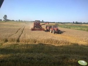 Bizon Super Z056 + Ursus 1224