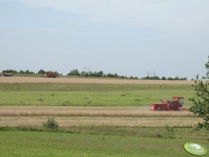 Bizon Super Z056 x 2