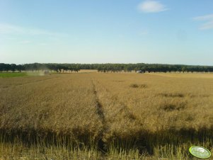 Bizon Z056 i MDW 525