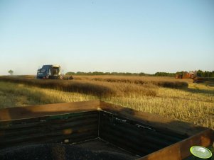 Bizon Z056 i MDW 525