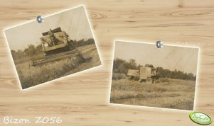 Bizon Z056 w trochu innym klimacie...