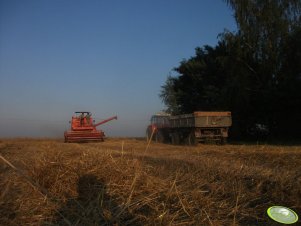 Bizon Z056 & Zetor