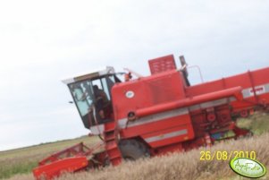 Bizon
