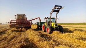 Bizon ZO-56 & Claas Arion 430