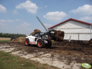 Bobcat 2556