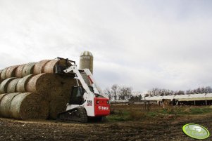 Bobcat T250